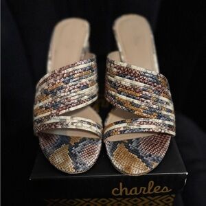 Rhythmic Multi-Snake Mule by Charles By Charles David